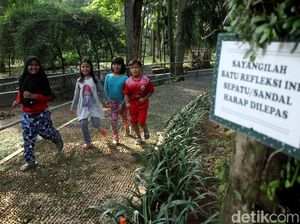 Penampakan Terkini Taman Langsat Jelang Direvitalisasi