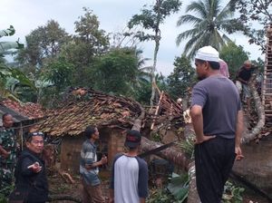 Badai Tumbangkan Pohon dan Rusak Rumah Warga di Sukabumi Badai Tumbangkan Pohon dan Rusak Rumah Warga di Sukabumi
