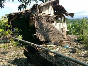 Gajah Liar Rusak Perkebunan Warga di Aceh Utara, Warga Cemas