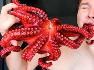 Daging Ular hingga Kodok Rebus, Ini Tren Makanan Mukbang Paling Aneh