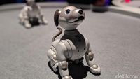 Robot Aibo dan Motor Venom Mejeng di Las Vegas, Mau Ngapain?