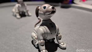 Robot Aibo dan Motor Venom Mejeng di Las Vegas, Mau Ngapain?