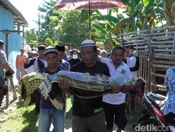 Ironi Pemilu di Indonesia: Pindah Makam karena Beda Pilihan