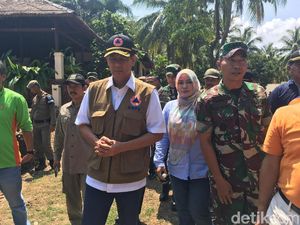 Kepala BNPB Minta Pantai Ditanam Pohon untuk Tahan Tsunami