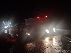 3 Pohon Tumbang Disingkirkan, Lalin Jember-Banyuwangi Kembali Normal