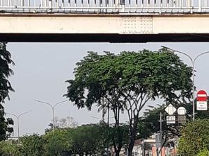 Relawan KPS Tebar Spanduk Program-program Jokowi