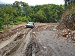 Trans Papua Buka Peluang Bisnis Sewa Mobil