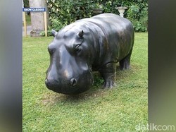 Patung Perunggu Kuda Nil Seberat 680 Kg di Inggris Hilang Dicuri