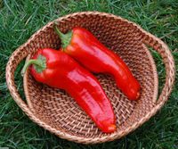 6 Makanan Sehat Bantu Sukseskan Diet Bunda