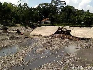 Bendung Rusak Kena Banjir, 450 Ha Sawah di Brebes Tak Terairi