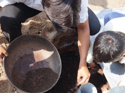 Bill Gates Garap Toilet Berteknologi Cacing