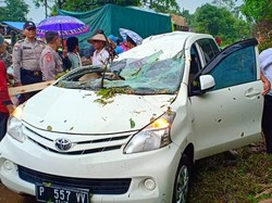 2 Penumpang Mobil di Banyuwangi Luka akibat Tertimpa Pohon Tumbang