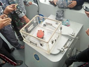 Terdeteksi KRI Spica, CVR Lion Air Ditemukan Penyelam Serda Satria Terdeteksi KRI Spica, CVR Lion Air Ditemukan Penyelam Serda Satria