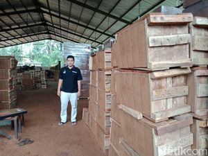 Olah Sabut Kelapa, Koperasi di Pangandaran Beromzet Miliaran