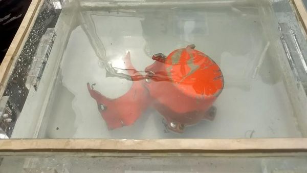 Penampakan CVR Lion Air PK-LQP yang Akhirnya Ditemukan