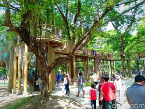 Cantiknya Wajah Baru Hutan Joyoboyo Kediri dengan Skybridge