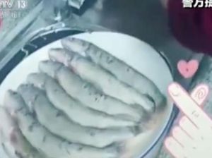 Pasangan di China Didenda Rp 21 Juta Karena Masak Ikan yang Dilindungi