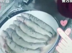 Pasangan di China Didenda Rp 21 Juta Karena Masak Ikan yang Dilindungi