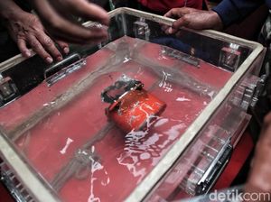 Siapa Saja yang Tahu Isi Rekaman CVR Lion Air PK-LQP? Siapa Saja yang Tahu Isi Rekaman CVR Lion Air PK-LQP?