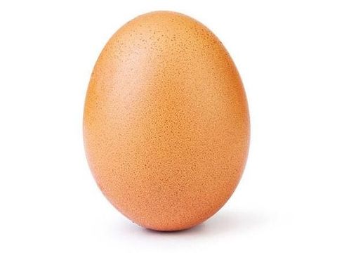 Egg