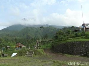Guguran Awan Panas Merapi Meluncur Sepanjang 2 Km ke Kali Gendol