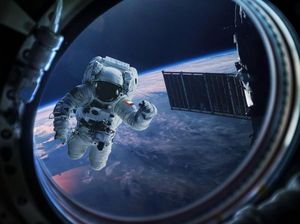 Keren! China Akan Coba Tanam Kentang dan Sayur Kol di Bulan Keren! China Akan Coba Tanam Kentang dan Sayur Kol di Bulan