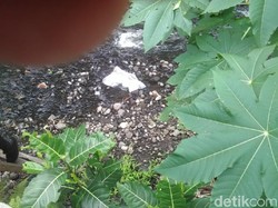 Diduga Dibuang, Bayi Laki-laki Ditemukan Tewas di Sungai Sleman