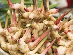 Lengkuas hingga Temu Giring, Bumbu Dapur Sehat yang Bikin Makanan Enak