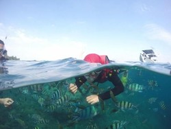 Beberapa Hari di Karimunjawa, Bisa Apa Saja?