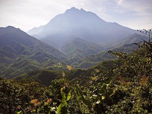 Menyibak Keindahan Alam Kalimantan yang Terekam Hampir 50 Tahun Lalu Menyibak Keindahan Alam Kalimantan yang Terekam Hampir 50 Tahun Lalu