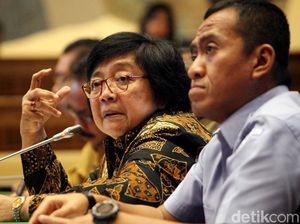 Menteri Siti Bahas RUU Lingkungan Hidup Bersama DPR