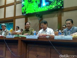 DPR Panggil ESDM dan Inalum Bahas Pembelian Freeport