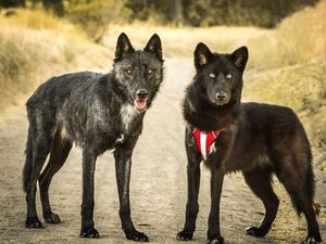 Kumpulan Foto Perbandingan yang Membuka Pikiran