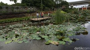 Taman Piknik, Tempat Pembuangan Sampah Yang Disulap Jadi Indah