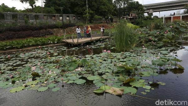 Taman Piknik, Tempat Pembuangan Sampah Yang Disulap Jadi Indah