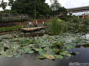 Taman Piknik, Tempat Pembuangan Sampah Yang Disulap Jadi Indah Taman Piknik, Tempat Pembuangan Sampah Yang Disulap Jadi Indah