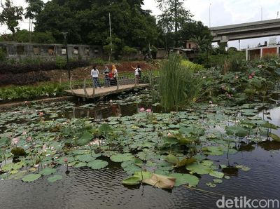 Taman Piknik, Tempat Pembuangan Sampah Yang Disulap Jadi Indah