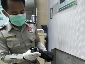 6 Ekor Murai Batu Asal Malaysia Gagal Diselundupkan ke Indonesia 6 Ekor Murai Batu Asal Malaysia Gagal Diselundupkan ke Indonesia