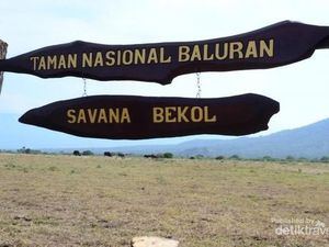 Harga Lengkap dari Fasilitas Taman Nasional Baluran
