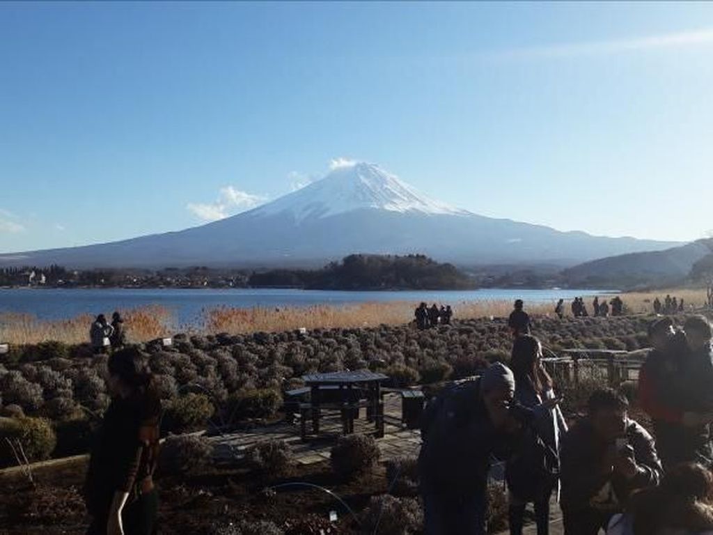 Menikmati Musim Dingin di Jepang yang Ramah Muslim Menikmati Musim Dingin di Jepang yang Ramah Muslim
