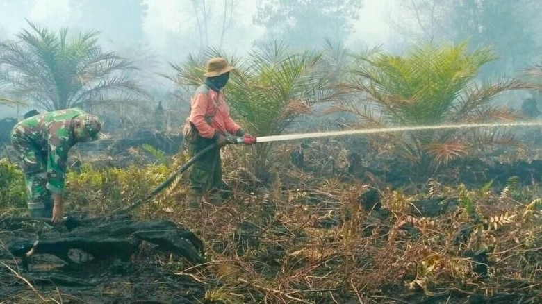 Ilustrasi (dok KLHK)