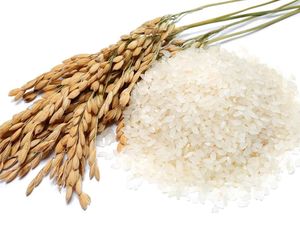 Prabowo Sebut Kurang Air, Sragen Justru Pionir Produsen Beras Organik