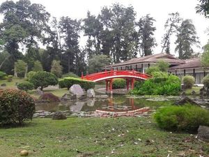 Seperti Jepang, Padahal Singapura