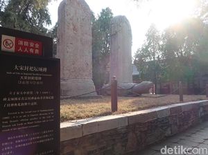 Bi Xi, Patung Pembawa Permohonan dan Kekayaan dari China