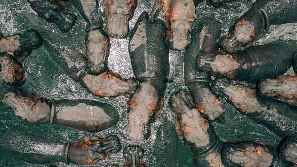 Jawara Kontes Foto Drone yang Memukau Mata