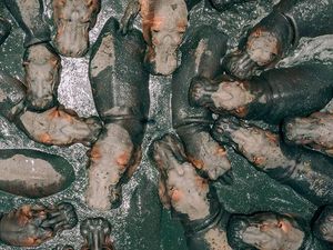 Jawara Kontes Foto Drone yang Memukau Mata Jawara Kontes Foto Drone yang Memukau Mata