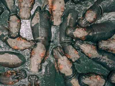 Jawara Kontes Foto Drone yang Memukau Mata