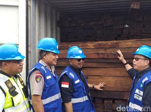 384 Kontainer Kayu Merbau Asal Papua Senilai Rp 100 Miliar Disita
