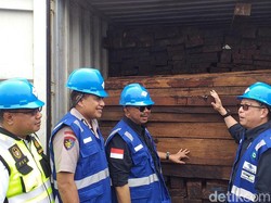 Kayu Ilegal Senilai Rp 100 Miliar Asal Papua Diamankan