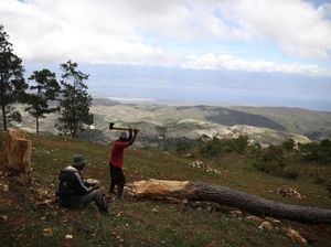 Desa Paling Miskin yang Terlupakan di Haiti